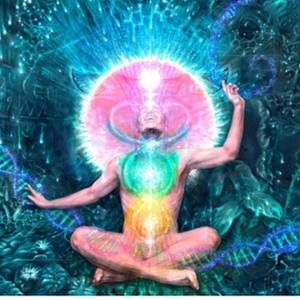 Meet your Posher, Isabella